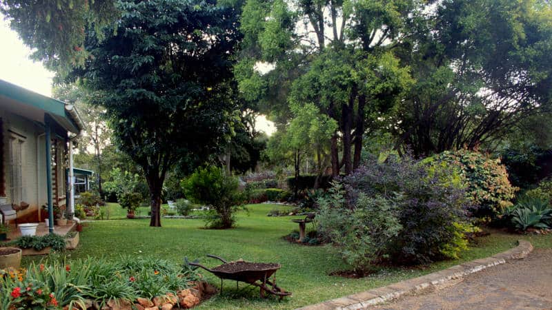 Qalisa Resident Gardens